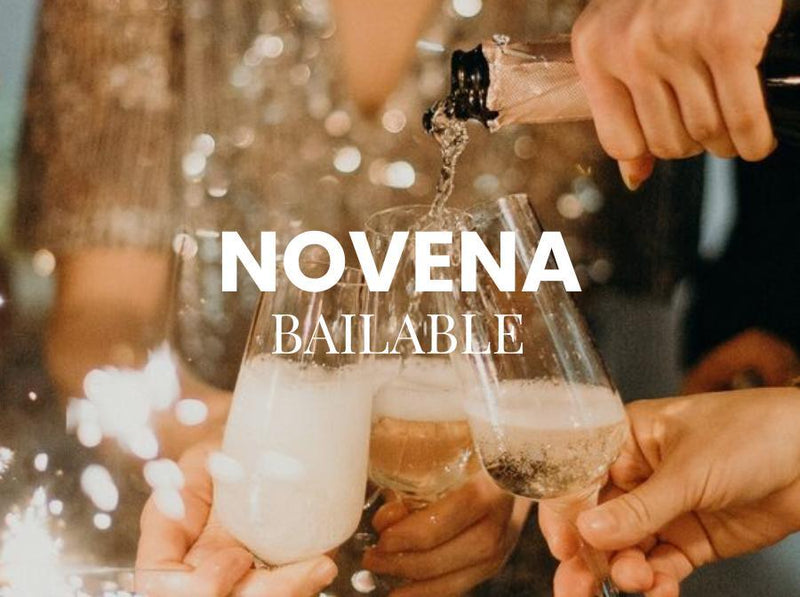 Navidad novena bailable