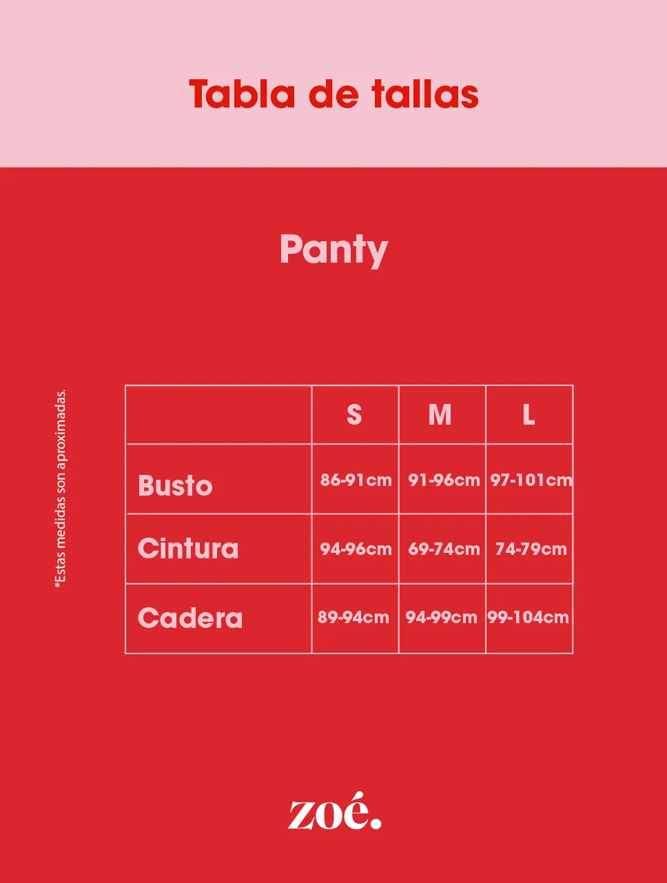 Panty de Bikini para Mujer Negro - Black